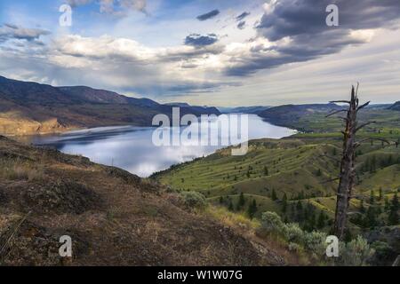 Isolated Dry Tree and Sweeping Kamloops Lake Viewpoint on Trans-Canada Highway.  Dramatic Overcast Sky Landscape, Interior of British Columbia, Canada Stock Photo