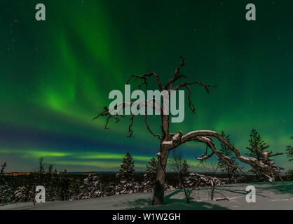 Northern lights dancing in the sky, Yukon Territory, Canada Stock Photo ...
