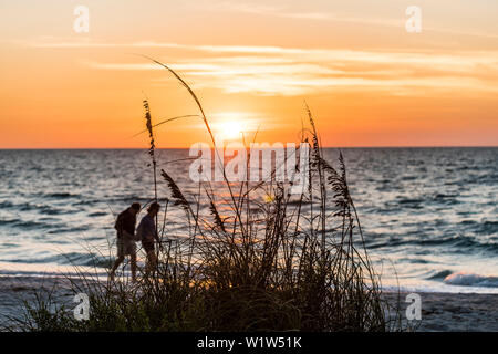 A couple goes for the sunset on a stroll on the beach at the Gulf of Mexico, Boca Grande, Florida, USA Stock Photo