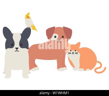 cute group of mascots adorables characters vector illustration design Stock Vector