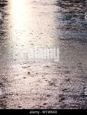 Rain drops on the surface of water in a puddle. Rainy day. Stock Photo