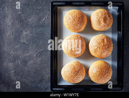 Freshly baked hot homemade burger buns sprinkled with sesame seeds on a baking pan on a concrete table, view from above, flat lay, empty space Stock Photo