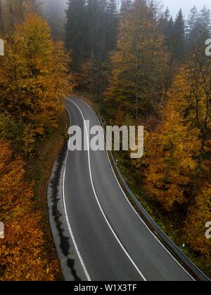 Drone shot, country road from above in fog, mixed forest in autumn, yellow leaves, Mittenwald, Bavaria, Germany Stock Photo