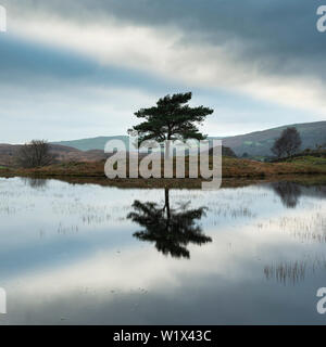 Beautiful landscape image of moody storm clouds over Kelly Hall Tarn in Lake District during late Autumn Fall afternoon Stock Photo