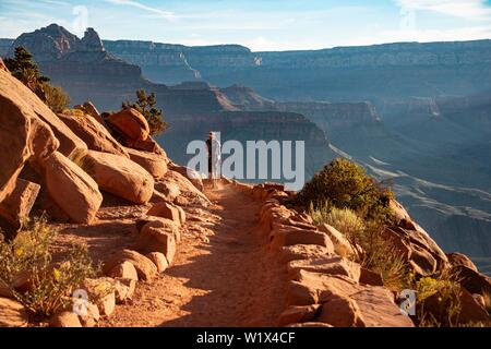 Hiker on the South Kaibab Trail, canyon landscape in the morning light, descent from South Rim, Grand Canyon National Park, Arizona, USA, North Americ Stock Photo