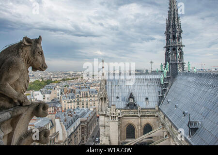 Paris (France): Notre-Dame Cathedral. Roof of the nave and the north transept. In the middle, the spire. On the left, a chimera Stock Photo