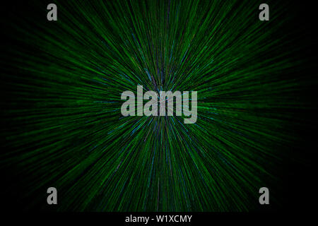 natural lens zoom explosion radial blurred green particles on black background with selective focus. Stock Photo