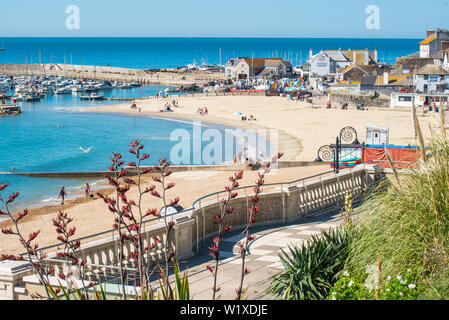 Lyme Regis, Dorset, UK. 4th July 2019. UK Weather: Hot sunshine and blue skies at the seaside resort of Lyme Regis. Early beachgoers secure a spot on the pretty sandy beach at Lyme Regis on Thursday morning. Credit: Celia McMahon/Alamy Live News. Stock Photo