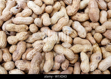 Peanuts or groundnuts in shell Stock Photo