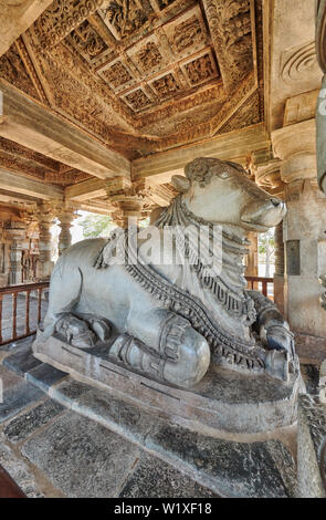 Halebid Hoysaleswara Jain temple, Dwarasamudra (gateway to the seas), Halebidu, Hassan, Karnataka, India Stock Photo