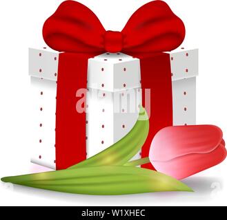 Realistic Vector 3d Gift Box with Red Tulip isolated on white background. Red Bow. Element for Various Holiday Designs. Valentine's day, Women's Day, Stock Vector