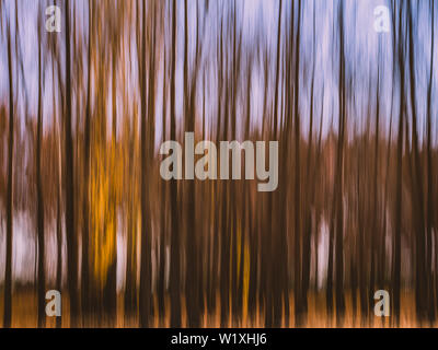 Intentional Camera Movement (ICM) photography on an autumn morning in the woods. Stock Photo
