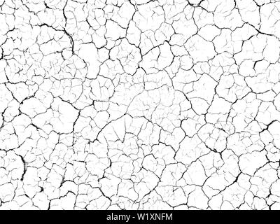 Structure cracked soil ground earth texture on white background, desert cracks,Dry surface Arid in drought land floor has many grooves and scratches