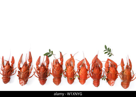 Several boiled crawfish isolated on white. top view. Flat lay Stock Photo