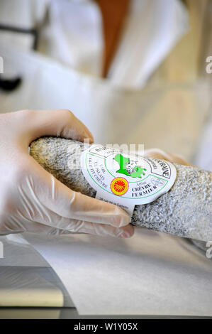 Chatillon-sur-Cher (central France): goat's cheese making at the “Palais du p'tit chevre” cheese factory Making of Sainte-Maure-de-Touraine cheese, as Stock Photo