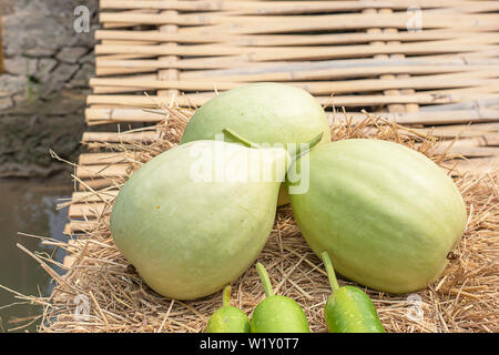 Winter melon is cut into pieces on the straw. Stock Photo
