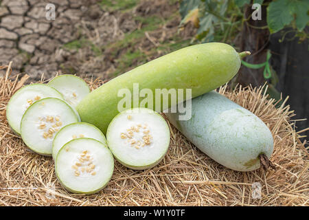 Winter melon is cut into pieces on the straw. Stock Photo