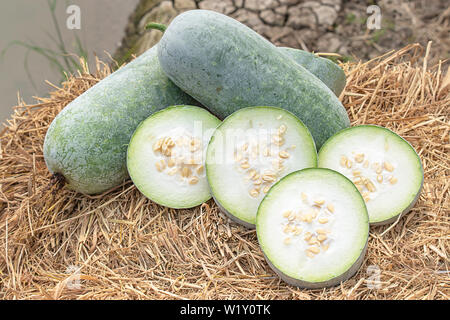 Winter melon is cut into pieces on the straw. Stock Photo