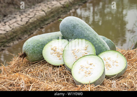 Winter melon is cut into pieces on the straw. Stock Photo