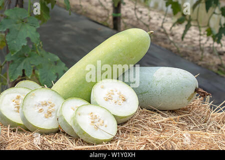 Winter melon is cut into pieces on the straw. Stock Photo