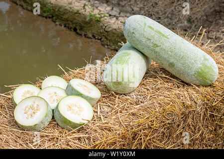 Winter melon is cut into pieces on the straw. Stock Photo