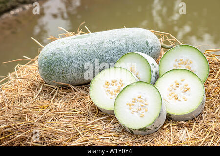 Winter melon is cut into pieces on the straw. Stock Photo