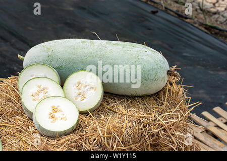 Winter melon is cut into pieces on the straw. Stock Photo