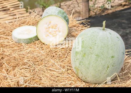 Winter melon is cut into pieces on the straw. Stock Photo