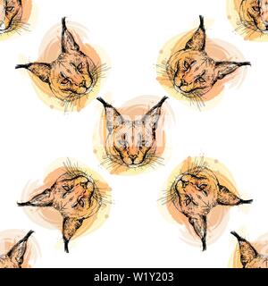 Seamless pattern of hand drawn sketch style portraits of caracal isolated on white background. Vector illustration. Stock Vector