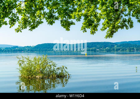 Holidays Spring on the beautiful Lake Constance with blue sky Stock Photo