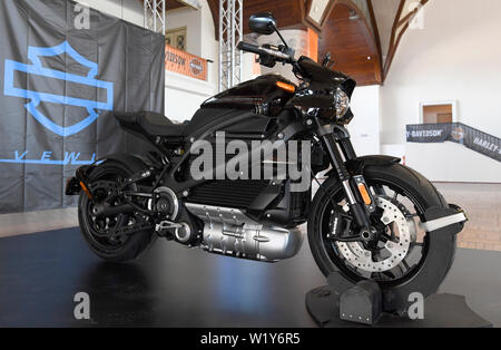 2019 harley best sale davidson livewire