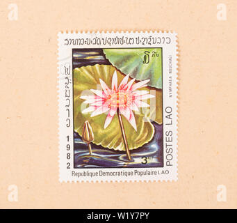 LAOS - CIRCA 1980: A stamp printed in Laos shows a flower, circa 1980 Stock Photo