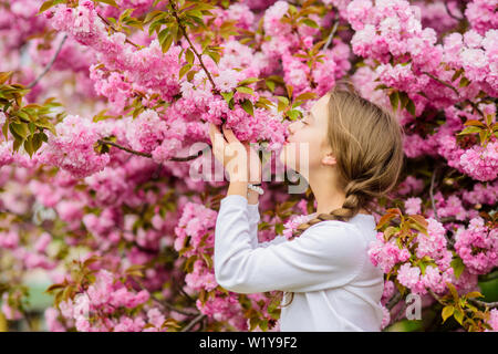 Tender bloom. Pink is the most girlish color. Bright and vibrant. Pink is my favorite. Little girl enjoy spring. Kid on pink flowers of sakura tree background. Kid enjoying pink cherry blossom. Stock Photo