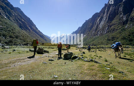 Quebrada Cojup, Ancash / Peru - 31. May 2016: backpackers hiking into the mountains of the Cordillera Blanca in the Andes of Peru with locals and donk Stock Photo