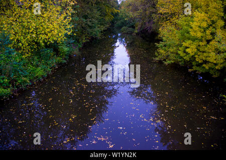 smal lake in the park in the city. Stock Photo