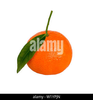 One ripe orange tangerine or mandarin with green leaf isolated on white background. Front view. Stock Photo