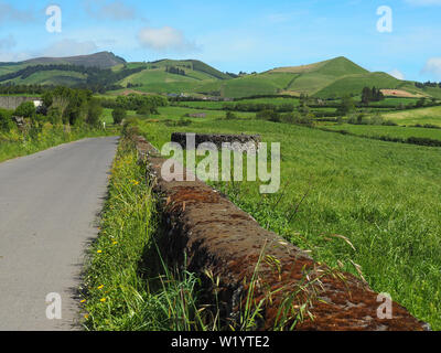 Typical Azores landscape, São Miguel Island, Azores, Açores Stock Photo