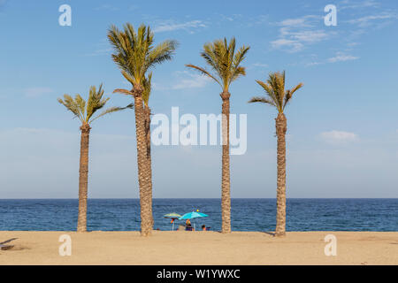 People relaxing under a blue umbrella surrounded by four palm trees on the beach in Spain. Stock Photo