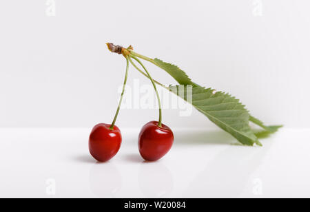 Tropical summer abstract background. Cherry with cuttings and leaves on the white background. Stock Photo