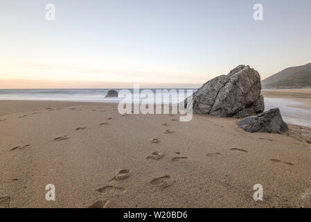 Garrapata State Beach at dawn. Monterey coast, California, USA. Stock Photo