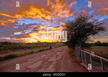 Bright orange sunset over a Karoo road and landscape, with local man walking away in Caliltzdorp Stock Photo