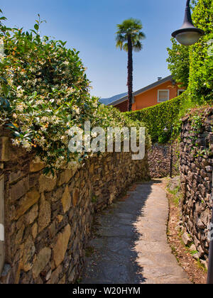 Cobblestone path that leads hikers to the village of Orta San Giulio on Lake Orta Italy Stock Photo