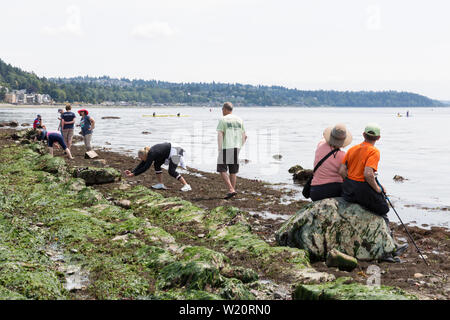 Visitors explore the exposed shoreline at Constellation Park during an unusually low tide on Thursday, July 4, 2019 in Seattle, Washington. Tides reached the lowest tides of the year at -3.4 feet on Wednesday and Thursday. Stock Photo