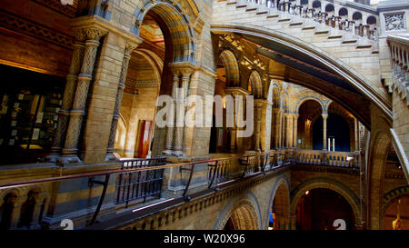 Natural History Museum, Cromwell Road, South Kensington, Royal Borough of Kensington and Chelsea Stock Photo