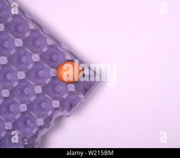 purple protective tray for raw chicken eggs with cells, top view, copy space Stock Photo