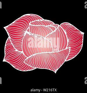Abstract hand drawn pink rose flower isolated on black background. Vector illustration. Line art. Sketch. Stock Vector