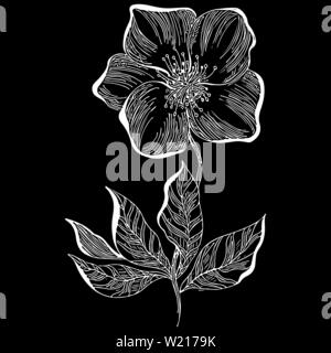 Hand drawn dog rose flower outline icon isolated on black background. Creative luxury fashion logotype concept icon. Hand Drawn vector illustration. D Stock Vector
