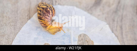 Download Sheet Mask With Snail Mucus On Yellow Background Stock Photo Alamy PSD Mockup Templates