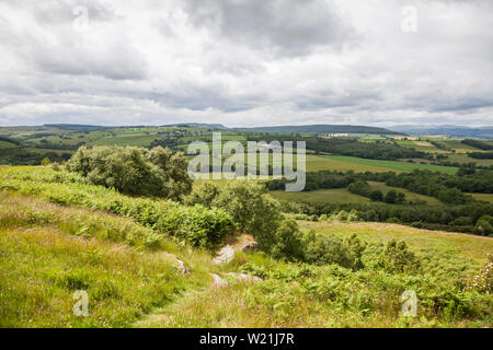 The scenic countryside between Rothbury and Alnwick with the Cheviot Hills in the background in north east England, UK Stock Photo