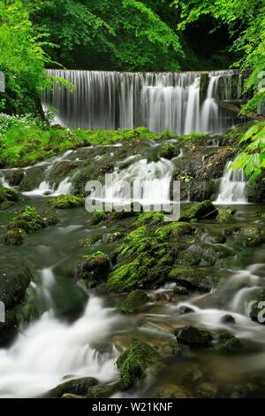 Waterfall and rapids at Ghyll Brook Stock surrounded by fresh greenery, Lake District, Cumbria, England, Great Britain Stock Photo